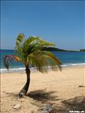 Sun Bay - VIEQUES